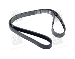 Ремінь поліклін. (вир-во DAYCO)