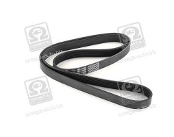 Ремінь поліклін. (вир-во DAYCO)