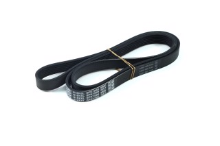 Ремінь поліклін. (вир-во DAYCO)