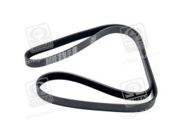 Ремінь поліклін. (вир-во DAYCO)