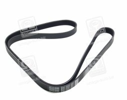 Ремінь поліклін. (вир-во DAYCO)