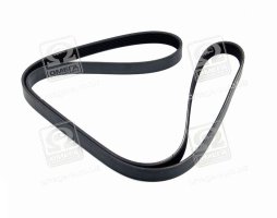 Ремінь поліклін. (вир-во DAYCO)