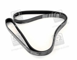 Ремінь поліклін. (вир-во DAYCO)