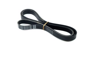 Ремінь поліклін. (вир-во DAYCO)