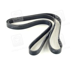 Ремінь поліклін. (вир-во DAYCO)