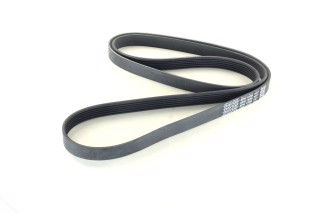 Ремінь поліклін. (вир-во DAYCO)