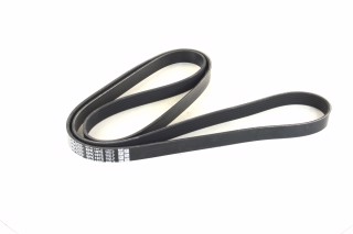 Ремінь поліклін. (вир-во DAYCO)