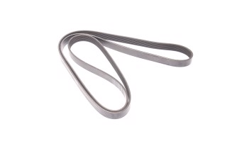 Ремінь поліклін. (вир-во DAYCO)