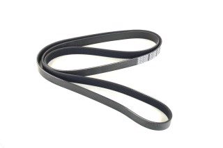 Ремінь поліклін. (вир-во DAYCO)