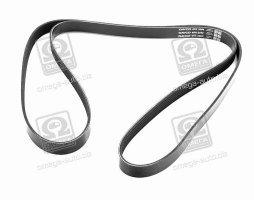 Ремінь поліклін. (вир-во DAYCO)