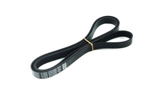 Ремінь поліклін. (вир-во DAYCO)