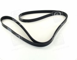 Ремінь поліклін. (вир-во DAYCO)