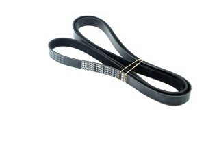 Ремінь поліклін. (вир-во DAYCO)