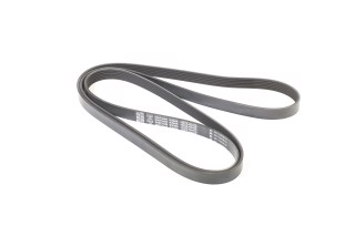 Ремінь поліклін. (вир-во DAYCO)