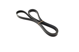 Ремінь поліклін. (вир-во DAYCO)