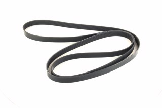 Ремінь поліклін. (вир-во DAYCO)