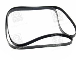 Ремінь поліклін. (вир-во DAYCO)