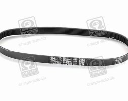 Ремінь поліклін. (вир-во DAYCO)