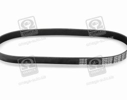 Ремень поликлиновой (пр-во DAYCO)