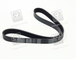 Ремінь поліклін. (вир-во DAYCO)