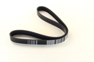 Ремінь поліклін. (вир-во DAYCO)