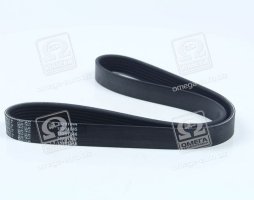 Ремінь поліклін. 6PK923 (Вир-во DAYCO)