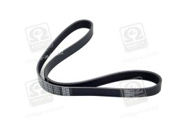 Ремінь поліклін. (вир-во DAYCO)