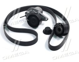 Ремінь ГРМ із роликами (Вир-во RENAULT)