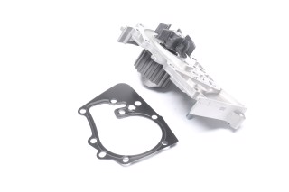 Водяной насос (Пр-во RENAULT/MOTRIO)