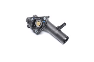 Термостат RENAULT (вир-во MEYLE)