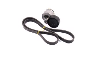 Комплект поліклінових ременів (Вир-во INA)