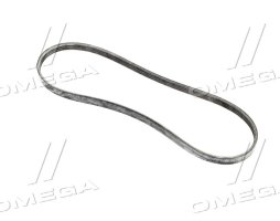 Поликлиновой ремень (Пр-во Contitech)