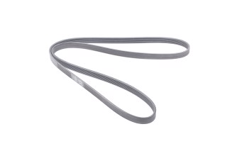 Полікліновий ремінь (Вир-во Contitech)