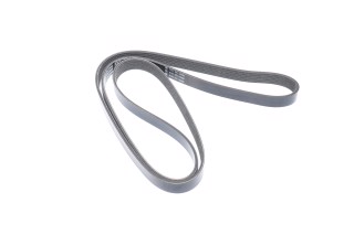 Ремінь полікліновий (Вир-во Dayco)