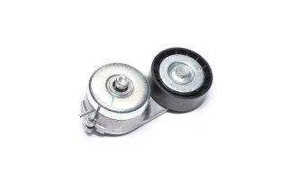 Роликовий модуль натягувача ременя (Вир-во Dayco)