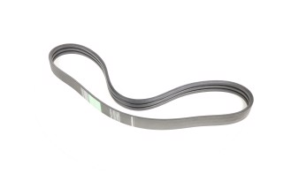 Ремінь багатострумковий CLAAS (644885.0) (OPTIBELT)