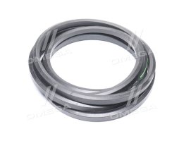 Ремінь шестигранний CNH (181055С1) (OPTIBELT)