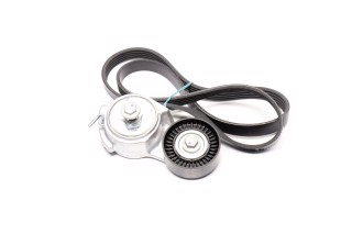 Комплект поліклінового ременя (Вир-во INA)