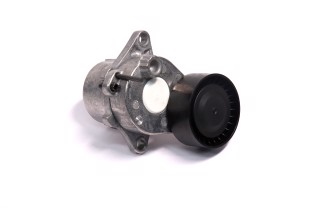 Натягувач клинового ременя (Вир-во INA)