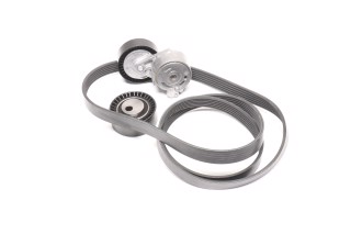 Комплект поликлинового ремня (Пр-во INA)