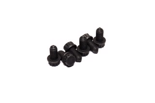 Болти кріплення маховика AUDI, SEAT, SKODA, VW (вир-во SACHS)