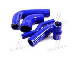 Патрубок радіатора ТАТА, ЕТАЛОН ЄВРО 2 (СИЛІКОН синій, к-кт 5 шт.)