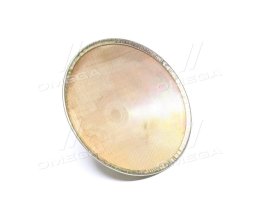 Фільтр паливний КАМАЗ, ЗІЛ грубої очистки в зборі (сітка з відбивачем)