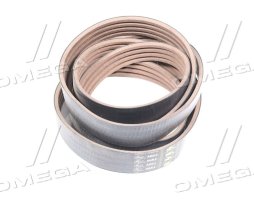 Ремінь багатострумковий CLAAS Tucano (Gates Agri)