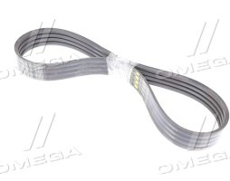 Ремінь багатострумковий CLAAS(Gates Agri)