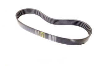 Ремінь багатострумковий CLAAS(Gates Agri)