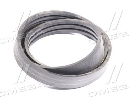 Ремень многоручьевой CASE-IH(Gates Agri)