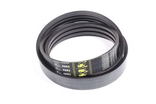 Ремінь багатострумковий CLAAS(Gates Agri)
