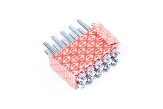 Комплект болтів головки цилідра PSA 1,8/2,0 16V EW7A/EW10A (вир-во Elring)
