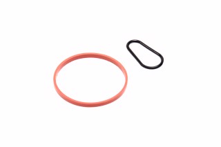 Комплект прокладок, вакуумний насос FORD/PSA 1,5TDCi/1,6HDi DV6FDU 10- (вир-во Elring)